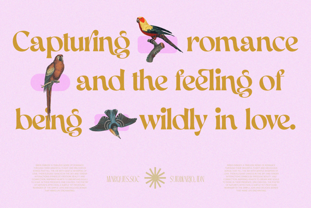 aekiy-kagon-elegant-luxury-bold-serif-classic-font-enxyclo-studio-8.png