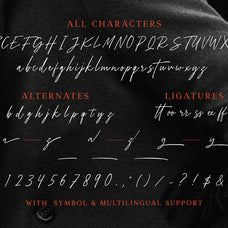 aesthero-stylish-signature-script-sarid-ezra-7.jpg