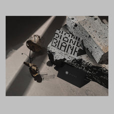 aesthetic-dual-card-dry-flower-mockup-unknown-creator-3.jpg