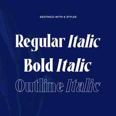 aesthico-bold-serif-font-family-heinzel-std-13.jpg
