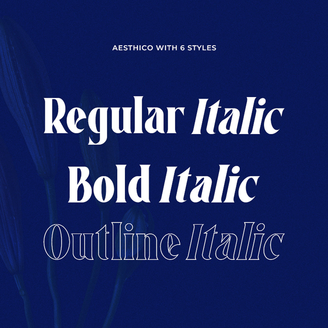 aesthico-bold-serif-font-family-heinzel-std-13.jpg