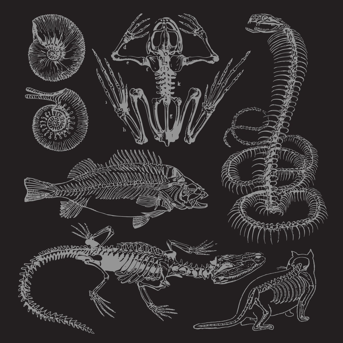 Afterlife Graphics Pack by Blaine Pate Studio