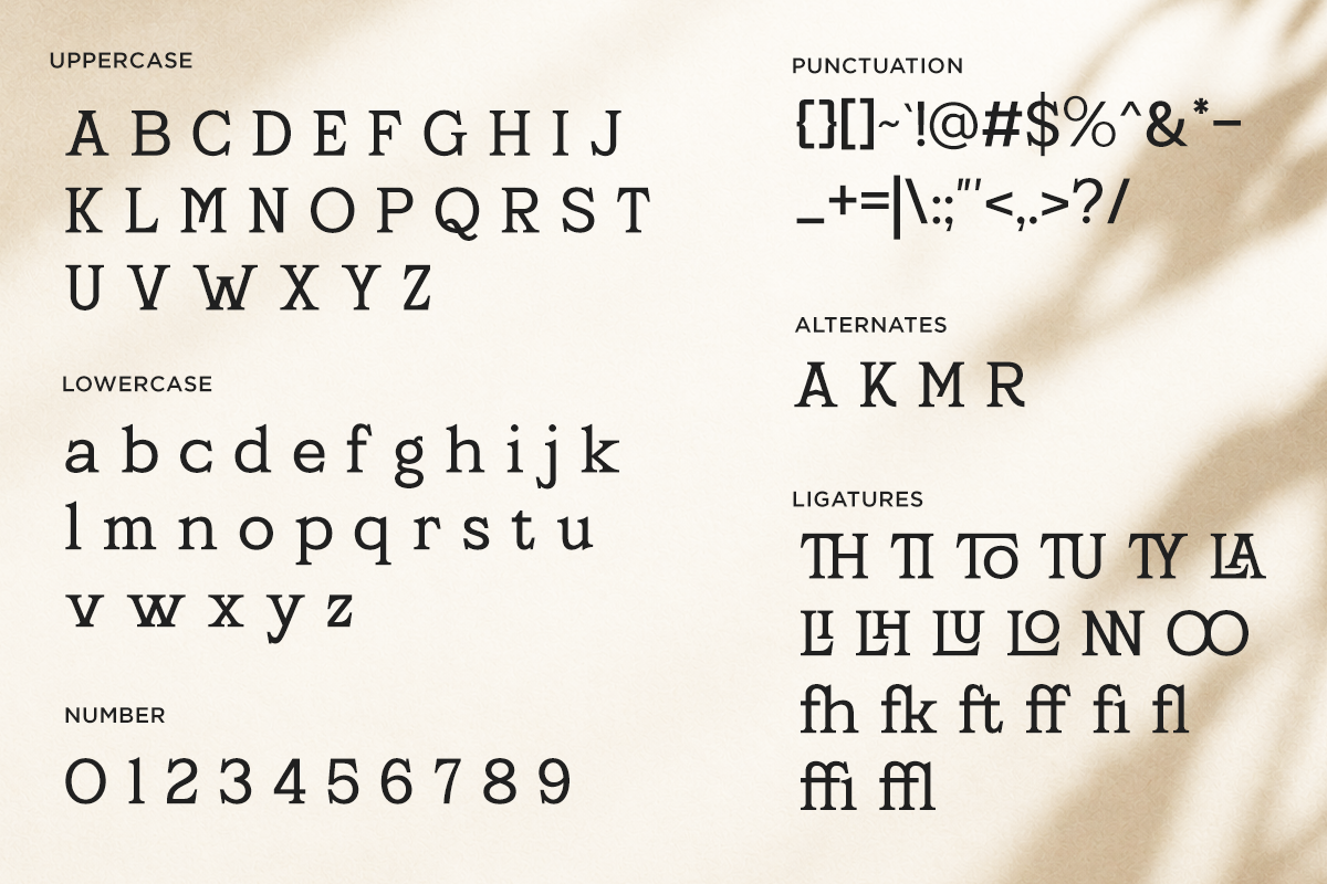 agerlas-stylish-modern-serif-font-ragamkata-studio-10.png