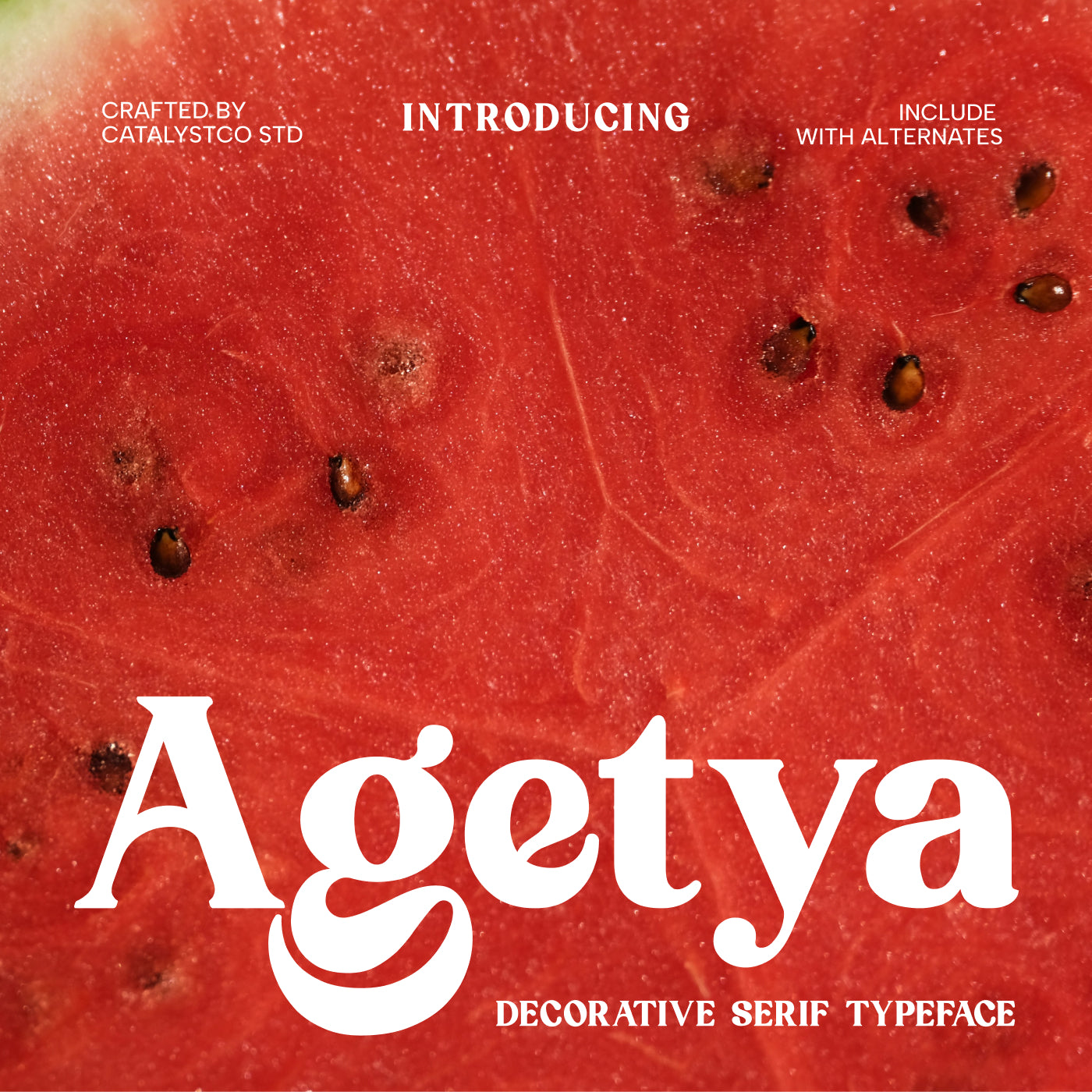agetya-decorative-serif-typeface-font-catalystco-studio-1.jpg