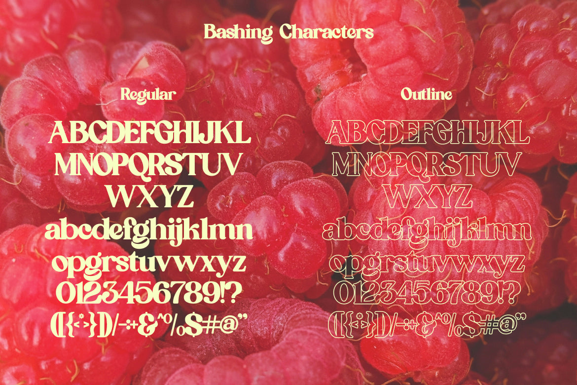 agetya-decorative-serif-typeface-font-catalystco-studio-2.jpg