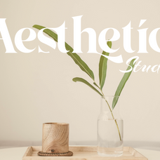 aira-modern-luxury-serif-font-roomspace-creative-lab-2.png
