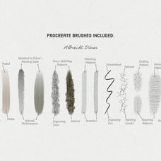 Albrecht Durer Procreate Kit