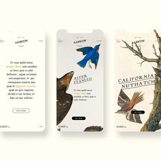 Alchemion Display Serif Font