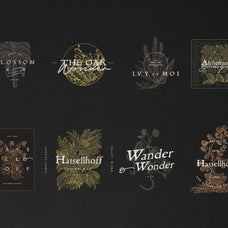 Alchemion Display Serif Font