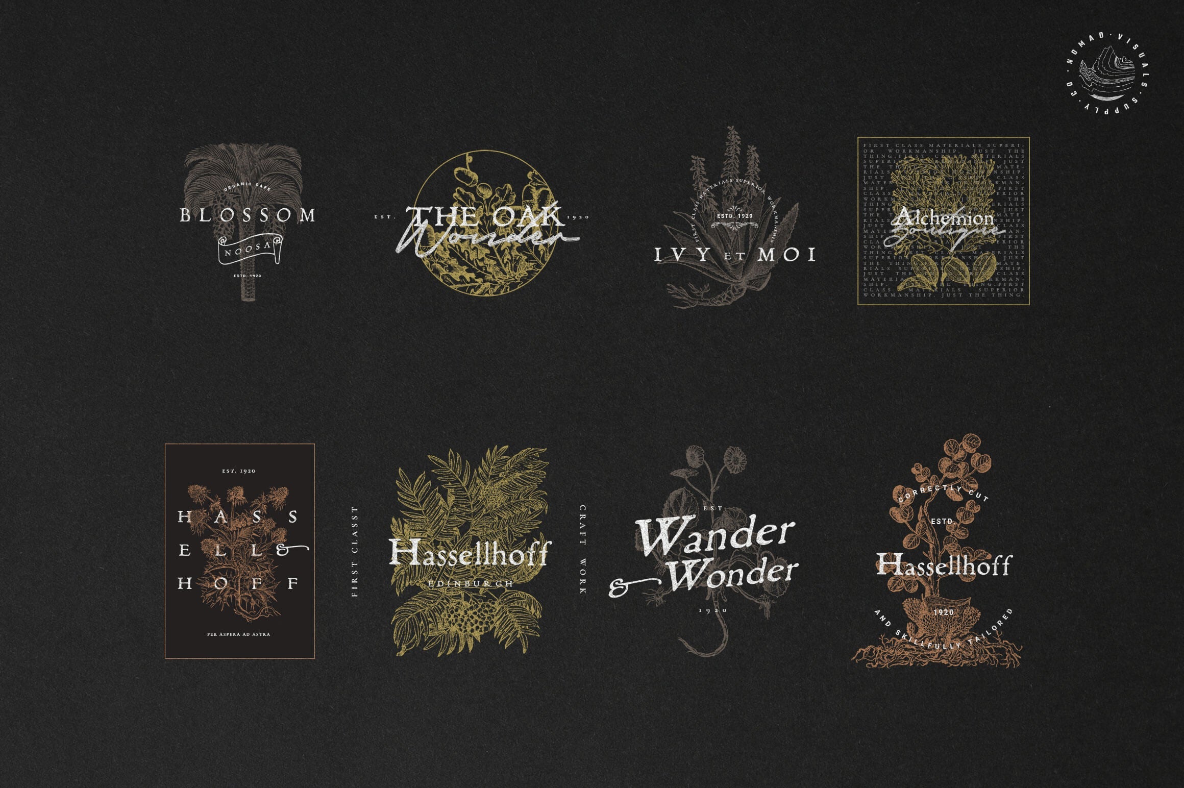 Alchemion Display Serif Font