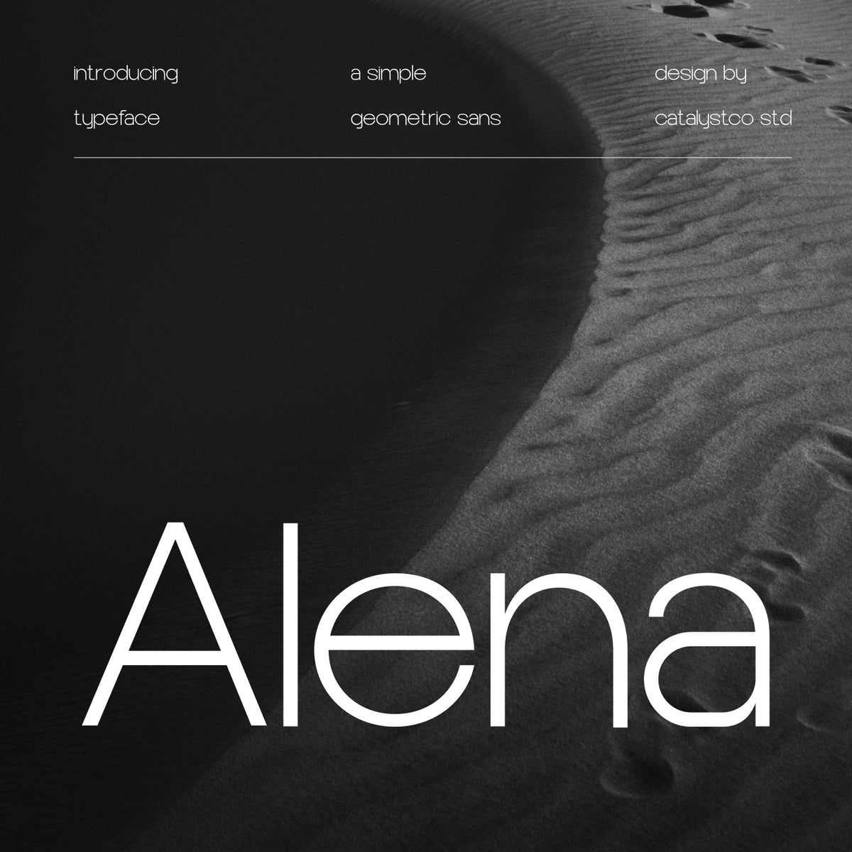 alena-geometric-sans-serif-font-catalystco-studio-1.jpg
