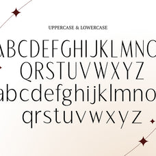 alestiqua-elegant-sans-serif-font-rasio-std-2.jpg