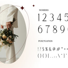 alestiqua-elegant-sans-serif-font-rasio-std-4.jpg