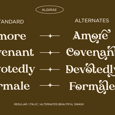 algirae-modern-ornamental-serif-say-studio-10.png