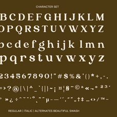 algirae-modern-ornamental-serif-say-studio-7.png