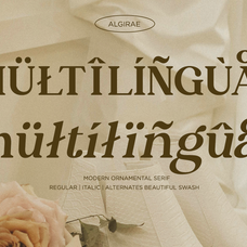 algirae-modern-ornamental-serif-say-studio-8.png