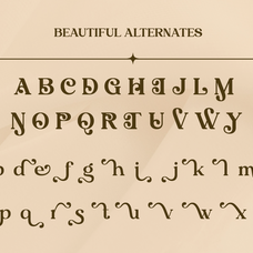 algirae-modern-ornamental-serif-say-studio-9.png