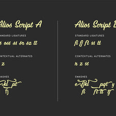 alios-script-unknown-creator-4.jpg