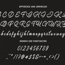 almanta-a-stylish-bold-script-font-blankids-7.jpg