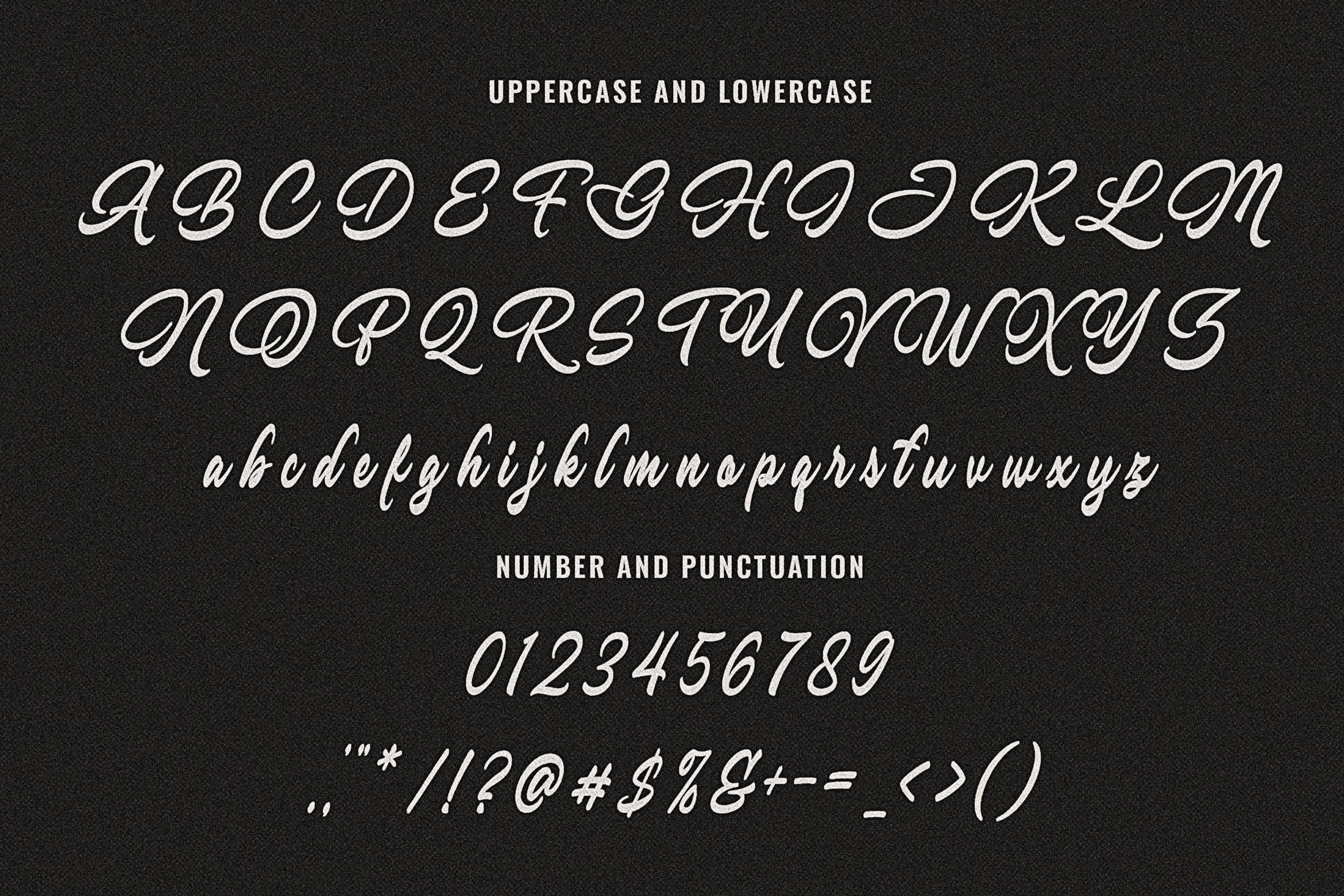almanta-a-stylish-bold-script-font-blankids-7.jpg
