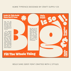 almie-bold-sans-serif-craft-supply-co-4.jpg