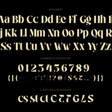 alverd-elegant-signature-luxury-logo-font-roomspace-creative-lab-10.jpg