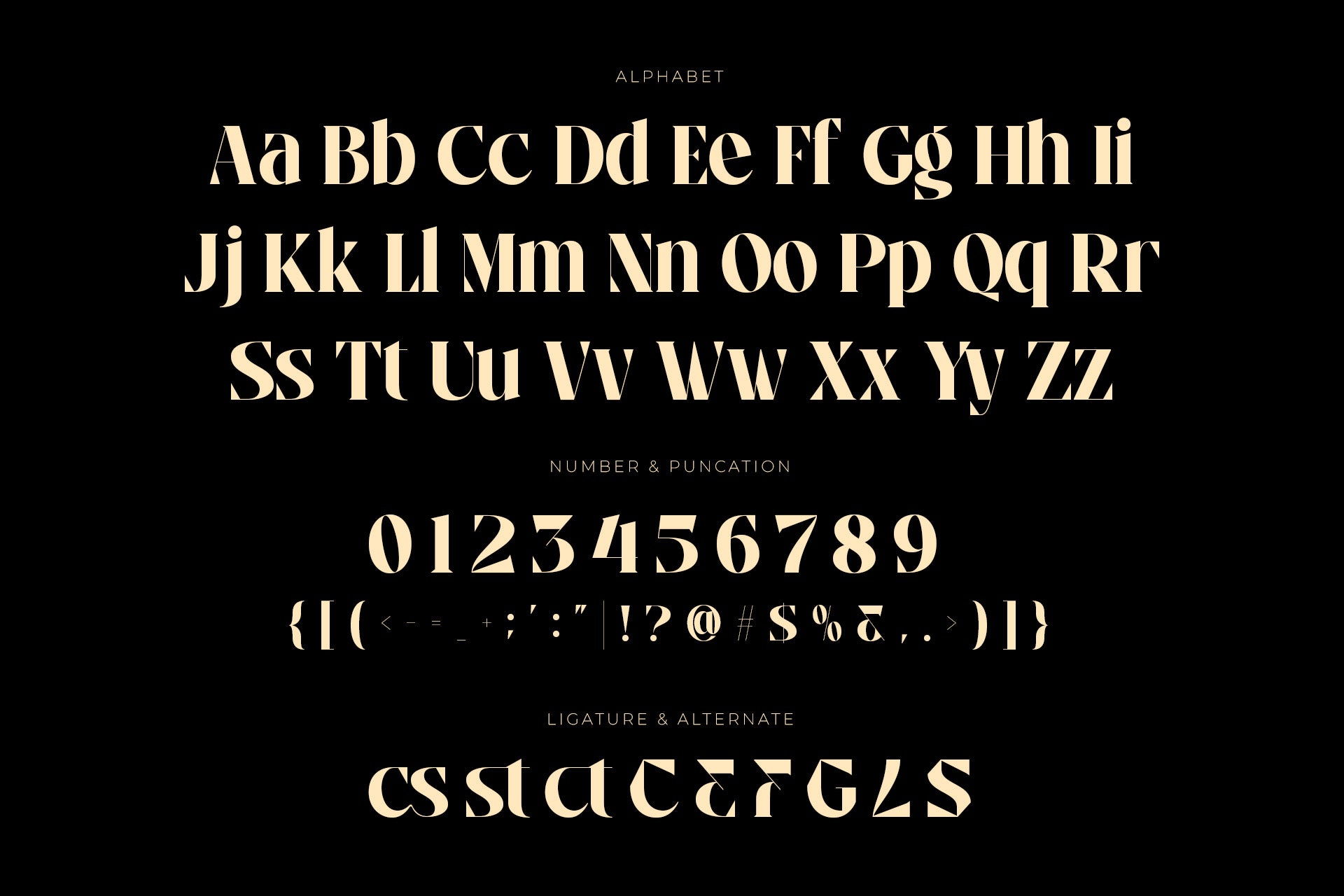 alverd-elegant-signature-luxury-logo-font-roomspace-creative-lab-10.jpg