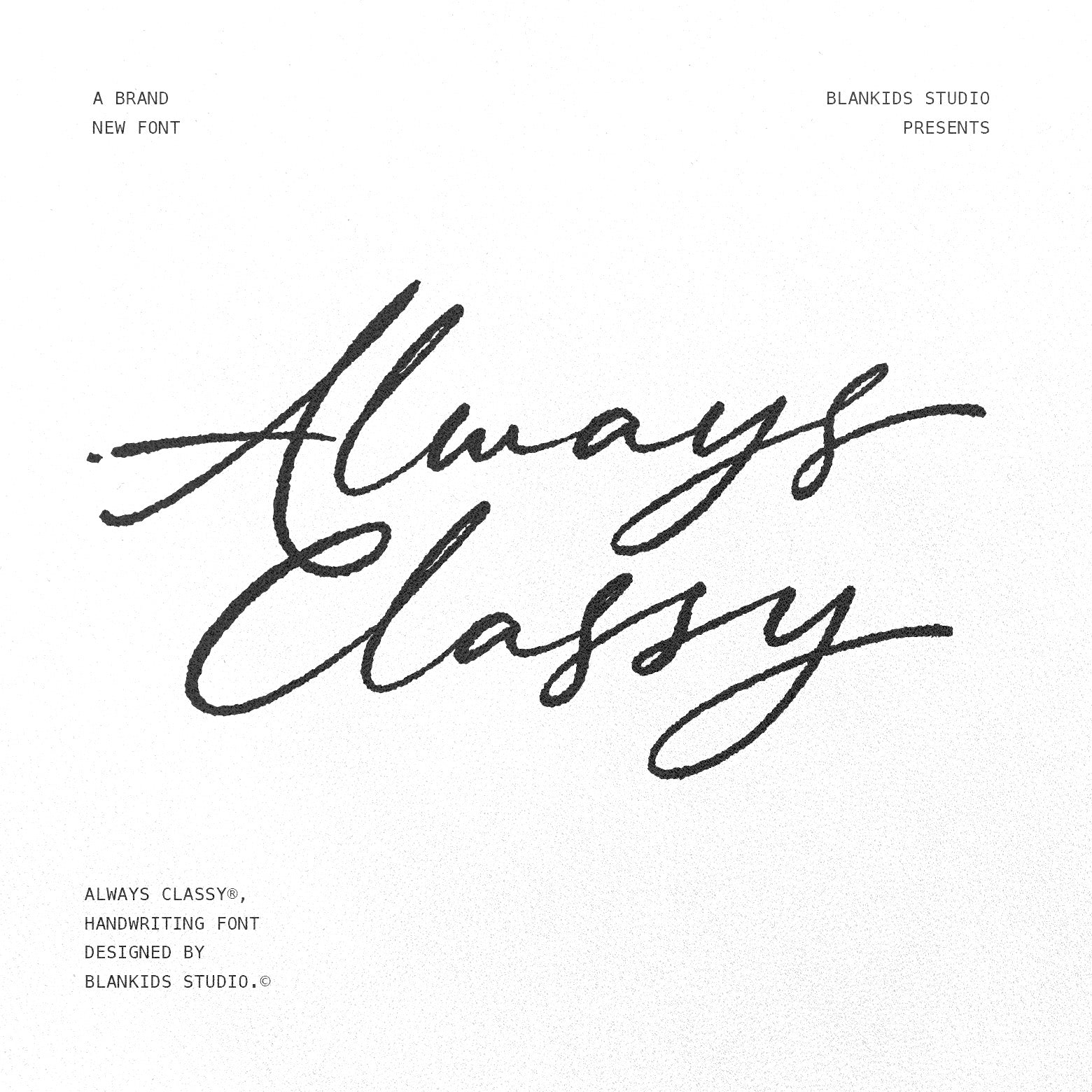 always-classy-elegant-handwritten-script-font-blankids-1.jpg