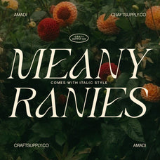 amadi-quirky-serif-font-craft-supply-co-3.jpg