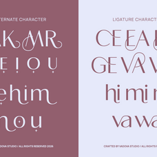 amavera-modern-elegant-sans-serif-font-vadova-studio-3.png