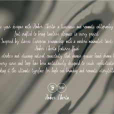 amber-liberta-luxury-script-font-tyedge-studio-3.png