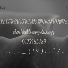 amber-liberta-luxury-script-font-tyedge-studio-5.png