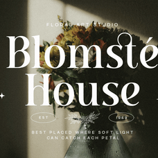 ambery-verita-elegant-modern-serif-typeface-roomspace-creative-lab-3.png