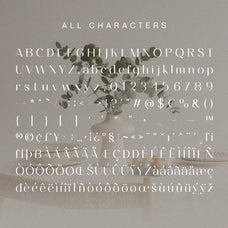 ameda-modern-stylish-sans-serif-craft-supply-co-8.jpg