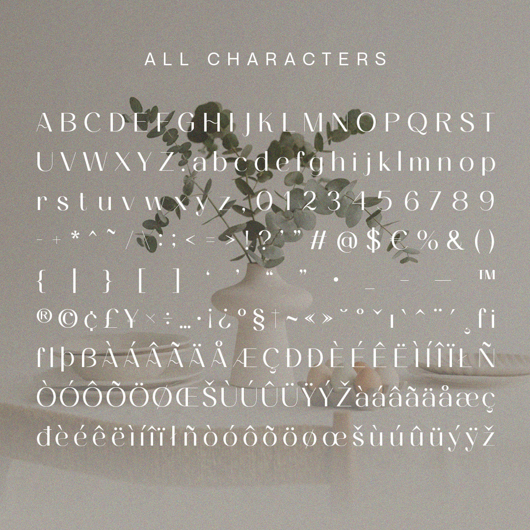 ameda-modern-stylish-sans-serif-craft-supply-co-8.jpg