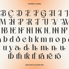 amethyste-modern-stylish-serif-typeface-unknown-creator-10.jpg