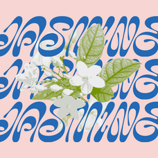 amiza-font-zarma-type-10.png