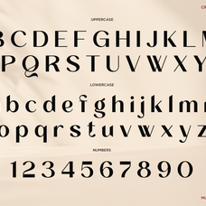 amoora-stylish-ligature-serif-font-fontliner-9.png