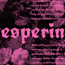 amortem-a-lovesick-gothic-blackletter-from-valentines-till-halloween-unknown-creator-12.png