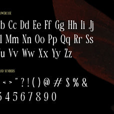 amoura-camorin-editorial-decorative-serif-font-rasio-std-2.jpg
