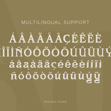 amoveno-font-modern-serif-font-koplexs-studio-11.jpg