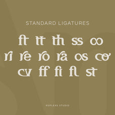 amoveno-font-modern-serif-font-koplexs-studio-13.jpg