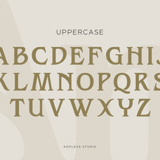 amoveno-font-modern-serif-font-koplexs-studio-9.jpg