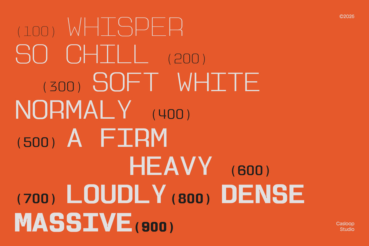 anacute-industrial-mono-sans-unknown-creator-7.jpg