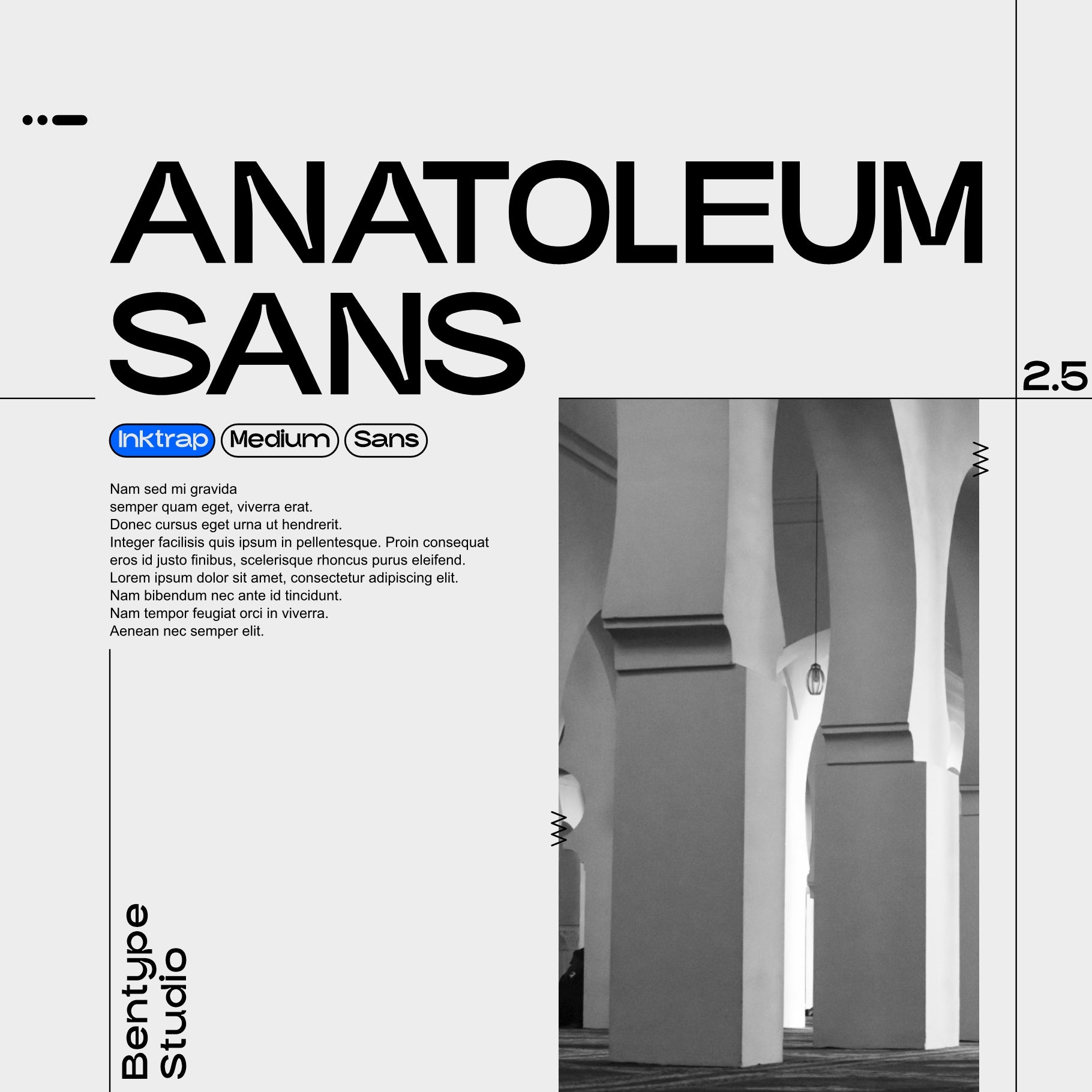 anatoleum-sans-inktrap-medium-sans-bentype-studio-1.jpg