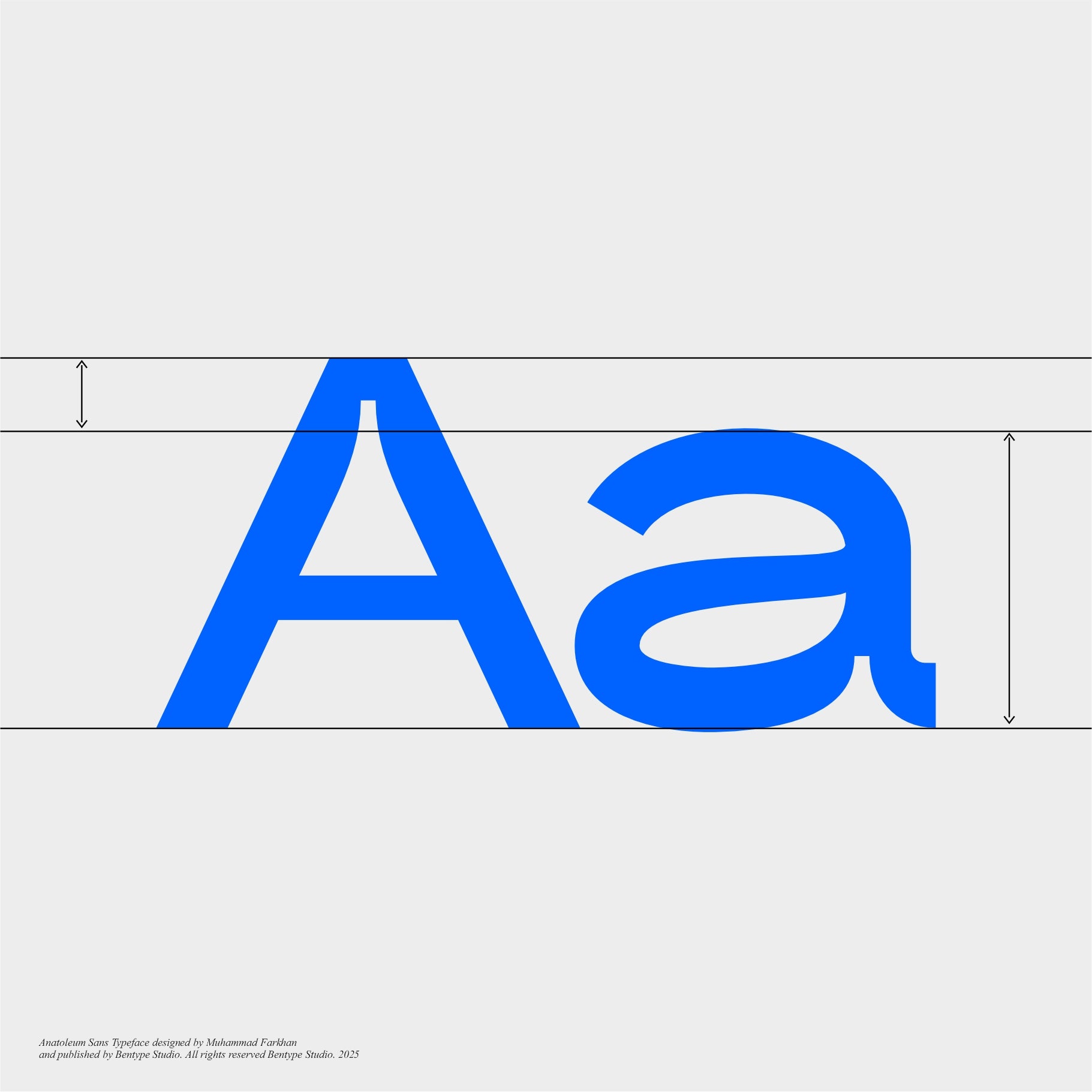anatoleum-sans-inktrap-medium-sans-bentype-studio-5.jpg