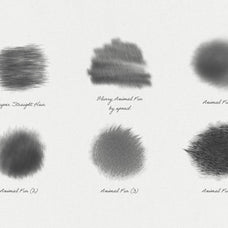 Animal Fur Procreate Kit
