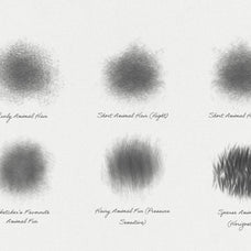 Animal Fur Procreate Kit
