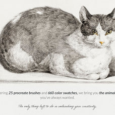 Animal Fur Procreate Kit