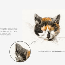 Animal Fur Procreate Kit